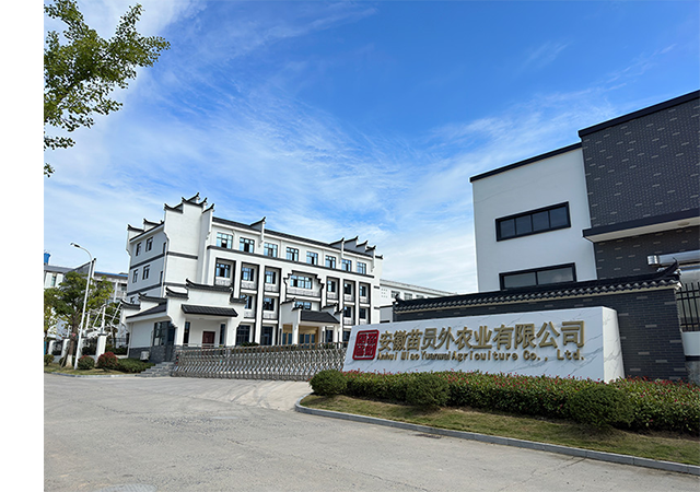 未标题-3.png